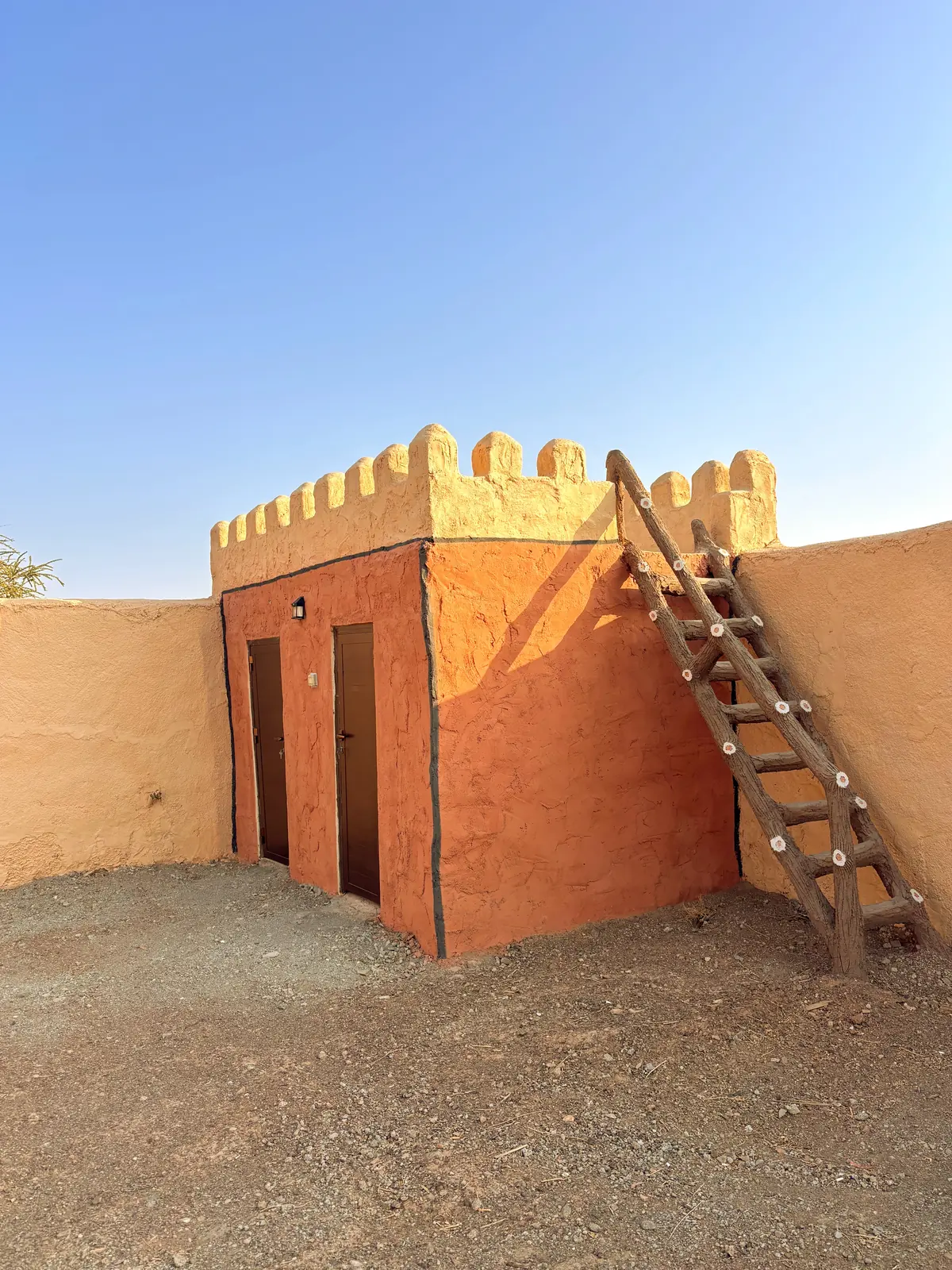 The watchtower and its ladder