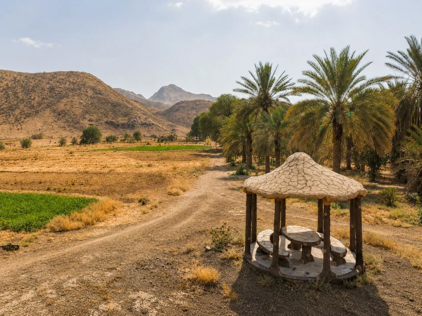 A farm track from the palms towards the mountains