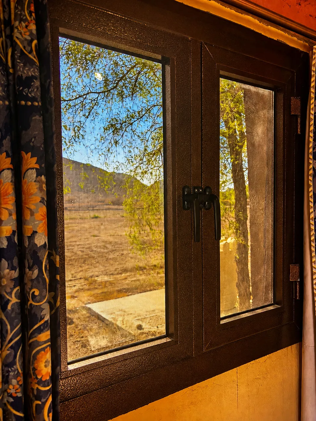 Window onto the mountains